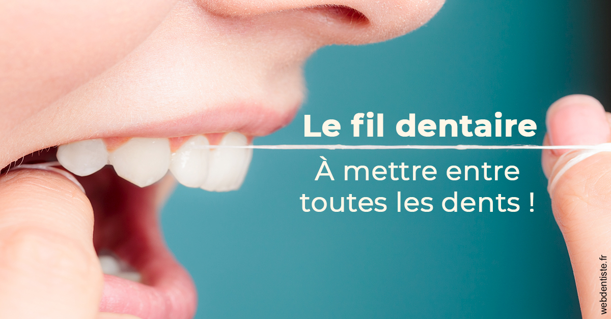 https://dr-nicolas-cecile.chirurgiens-dentistes.fr/Le fil dentaire 2