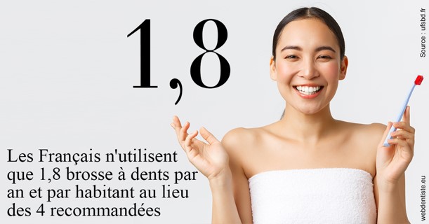 https://dr-nicolas-cecile.chirurgiens-dentistes.fr/Français brosses