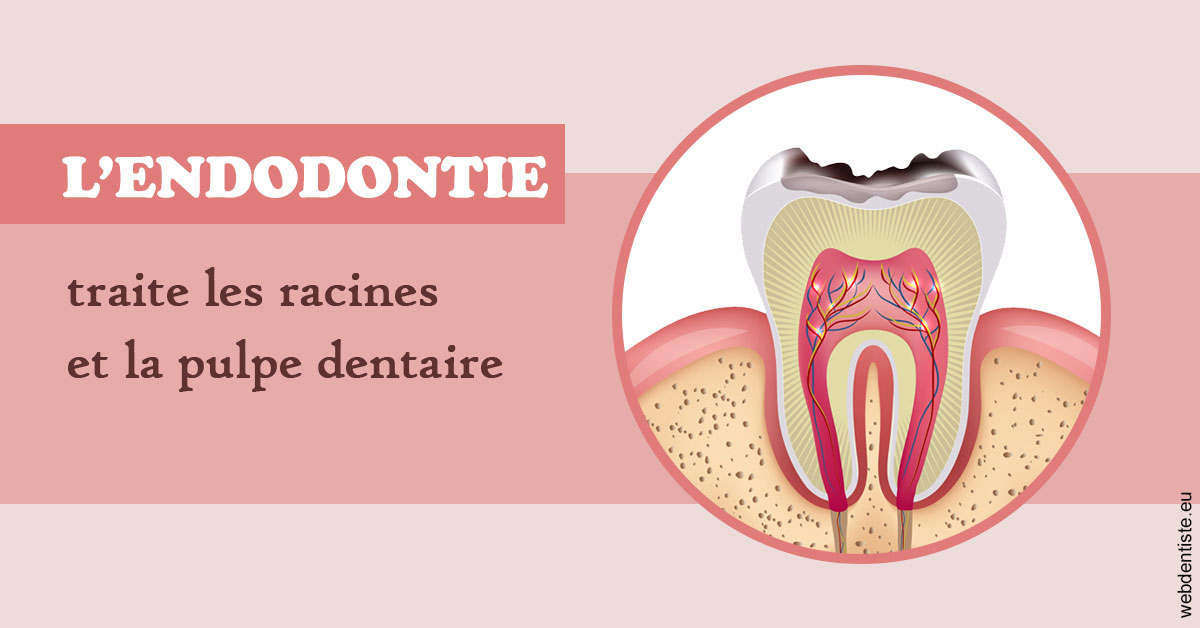 https://dr-nicolas-cecile.chirurgiens-dentistes.fr/L'endodontie 2