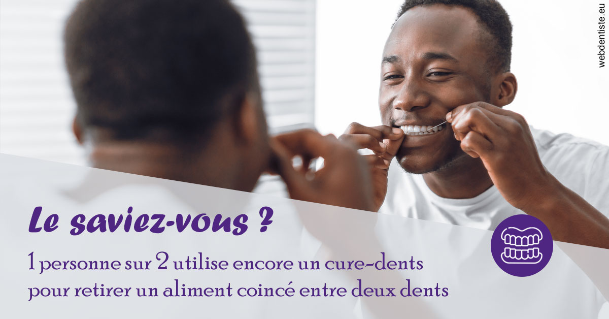 https://dr-nicolas-cecile.chirurgiens-dentistes.fr/Cure-dents 2