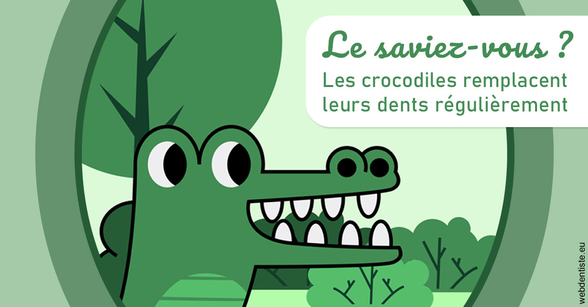 https://dr-nicolas-cecile.chirurgiens-dentistes.fr/Crocodiles 2