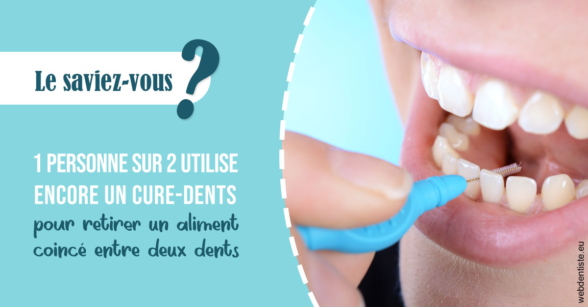 https://dr-nicolas-cecile.chirurgiens-dentistes.fr/Cure-dents 1