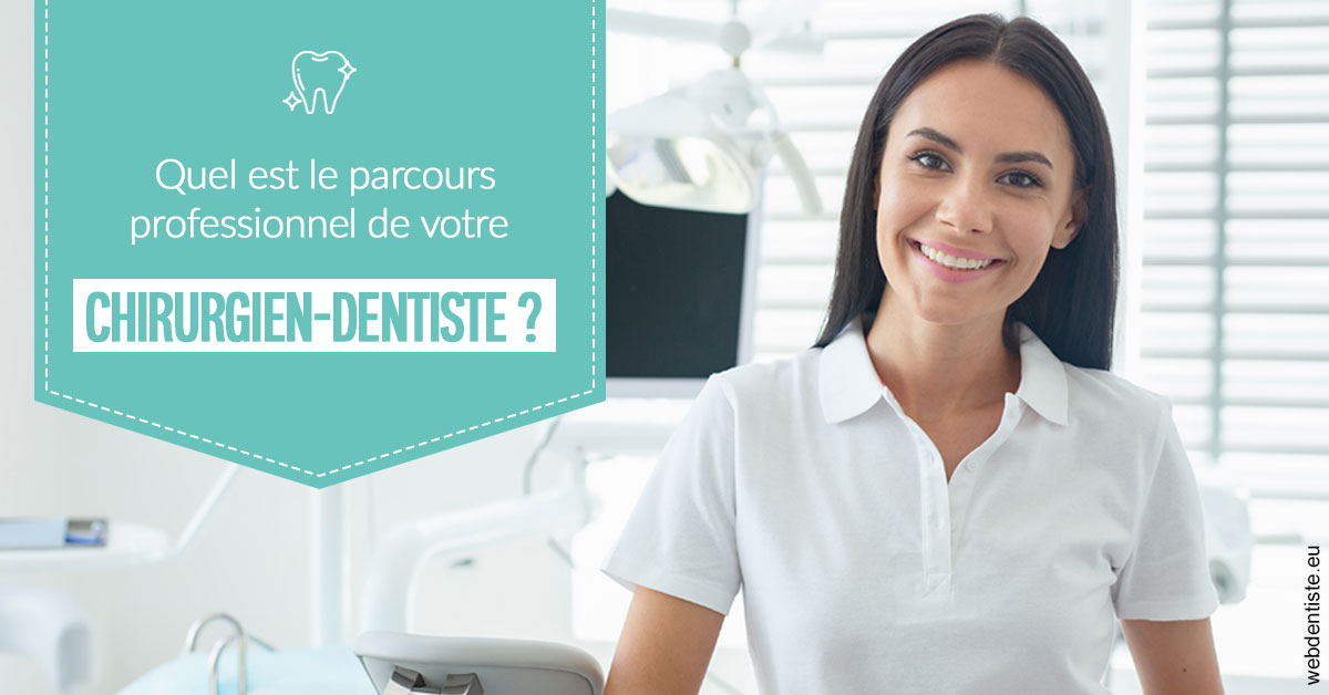 https://dr-nicolas-cecile.chirurgiens-dentistes.fr/Parcours Chirurgien Dentiste 2